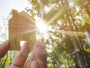 Hand holding wooden house with green forest