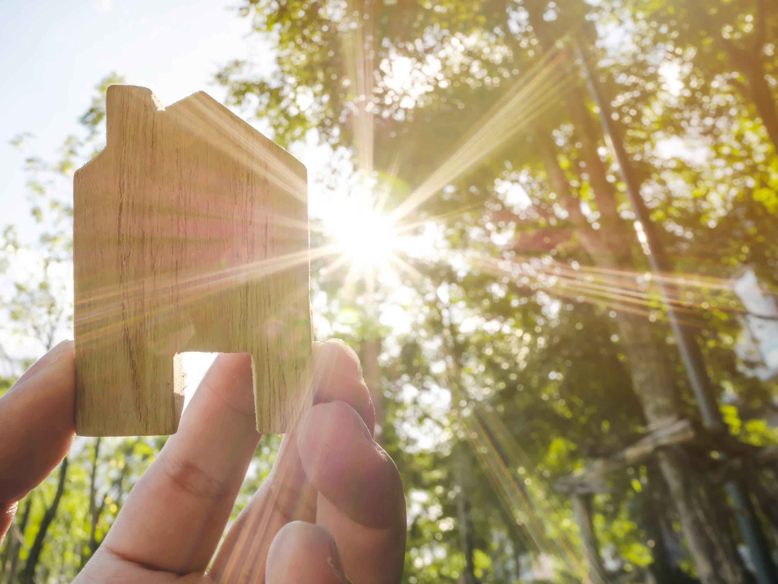 Hand holding wooden house with green forest